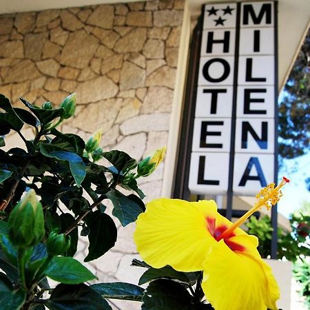 רימיני Hotel Milena מראה חיצוני תמונה