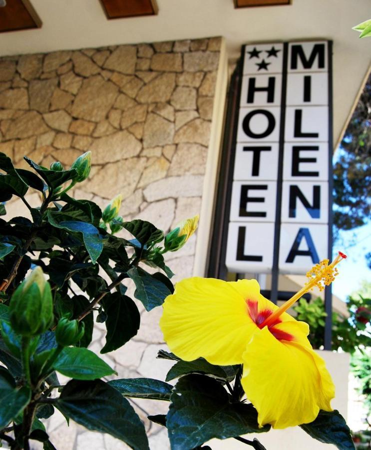 רימיני Hotel Milena מראה חיצוני תמונה